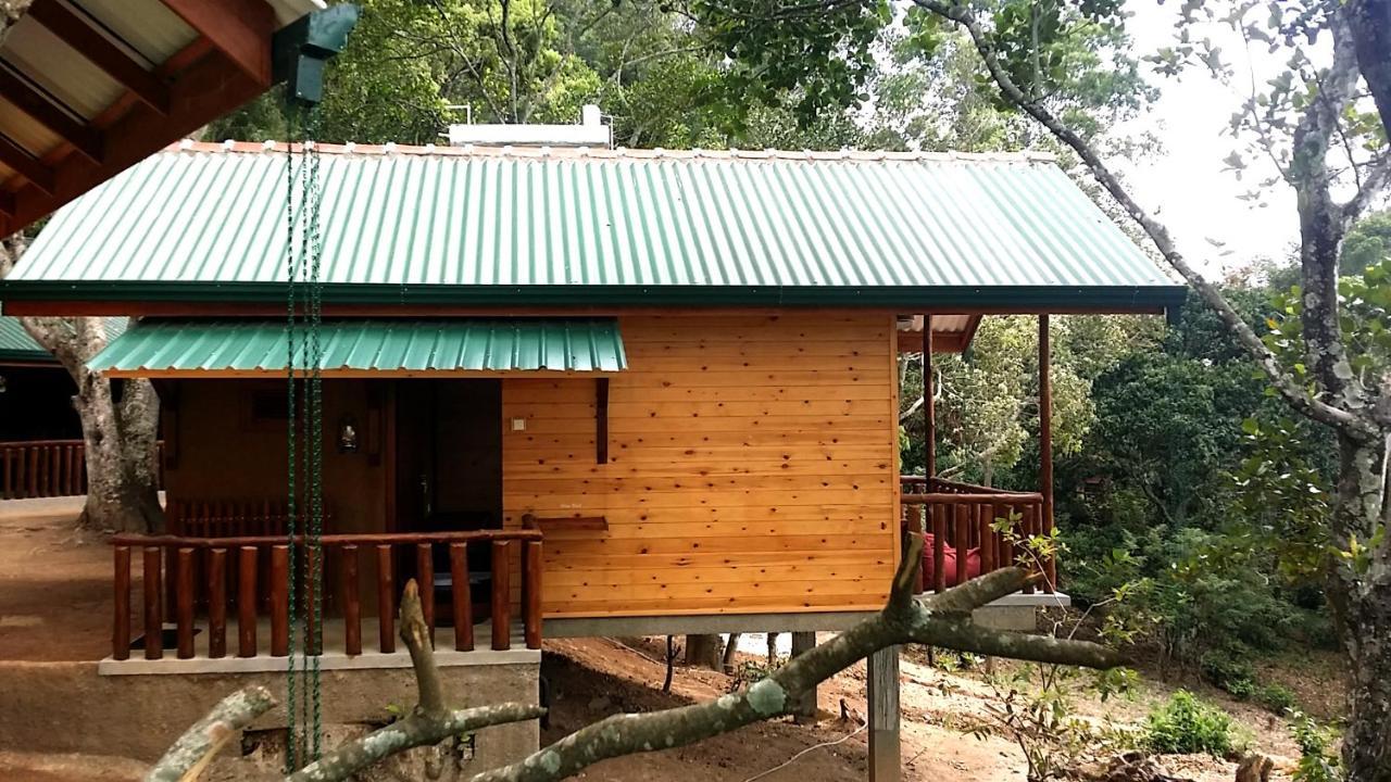Saffron Eco Cottage Ella Bagian luar foto