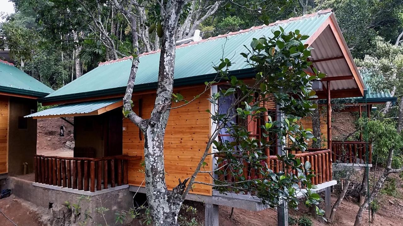 Saffron Eco Cottage Ella Bagian luar foto